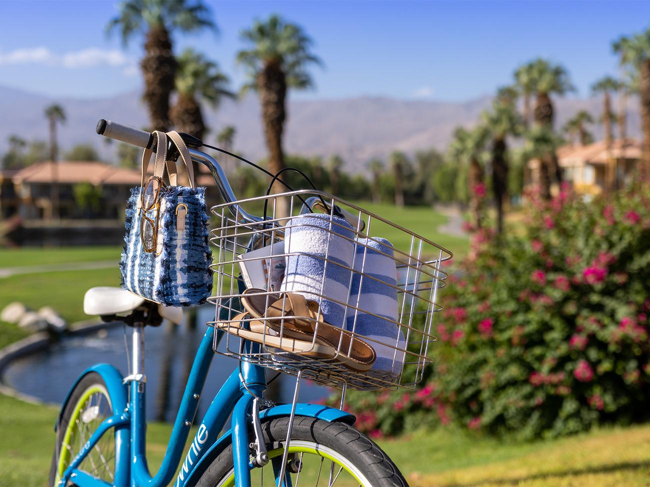 Bicycle Rentals